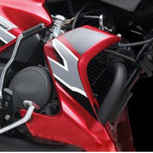 pulsar 150 engine cover